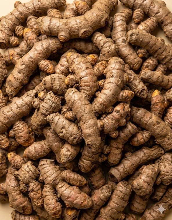 Wild Turmeric