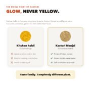 Comparison of kitchen haldi (Curcuma longa), which stains skin yellow, against kasturi manjal (Curcuma aromatica), which rinses off clean and is safe to use on the face