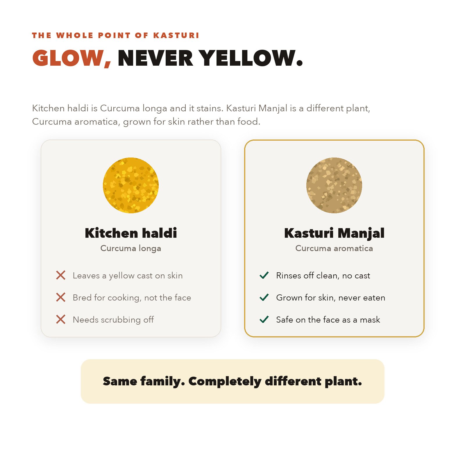 Comparison of kitchen haldi (Curcuma longa), which stains skin yellow, against kasturi manjal (Curcuma aromatica), which rinses off clean and is safe to use on the face