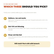 How to choose three powders by concern: dullness and tan, hair fall and thinning, or greys and dry hair